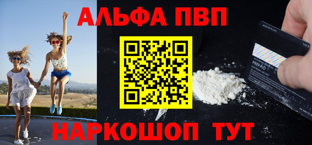 Альфа ПВП СК КРИС Канаш